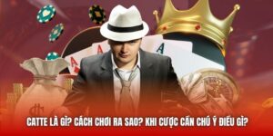 Catte Là Gì? Cách Chơi Ra Sao? Khi Cược Cần Chú Ý Điều Gì?