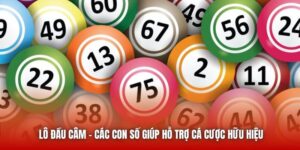 Lô Đầu Câm - Các Con Số Giúp Hỗ Trợ Cá Cược Hữu Hiệu