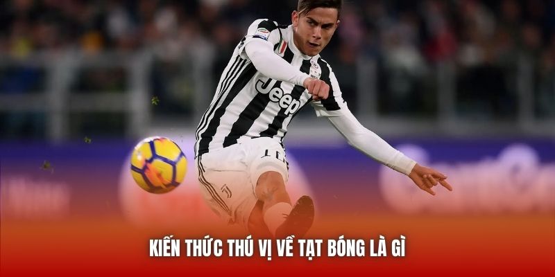 Kiến thức thú vị về tạt bóng là gì
